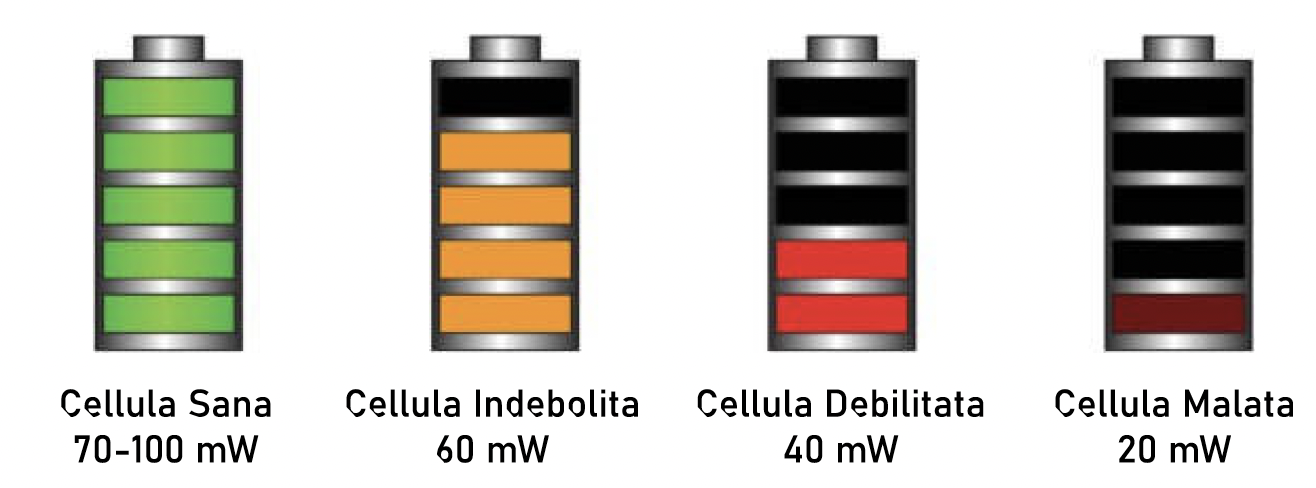 Carica cellulare | Sanotech