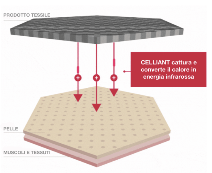 Celliant | Sanotech